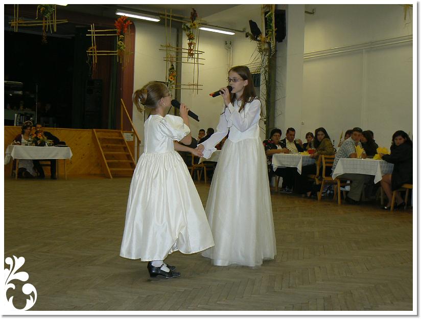 Szuret Felv es Bal_247